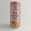 Refresco Naranja 250ml Hollinger