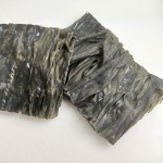 Alga Wakame  -Granel