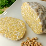 Tempe Casero